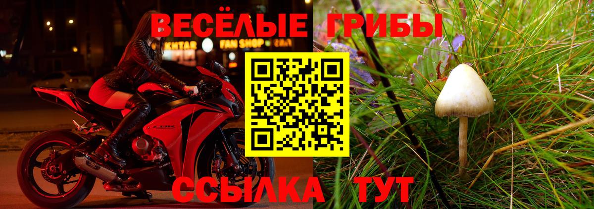 Галлюциногенные грибы мухоморы Дзержинский