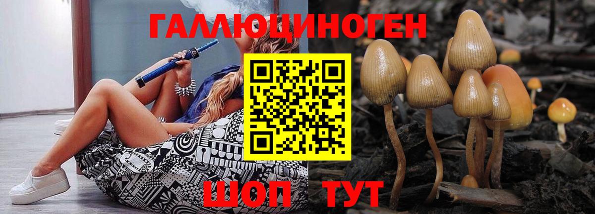 Галлюциногенные грибы Psilocybe  Галлюциногенные грибы Cubensis  Дзержинский  Вход с VPN 